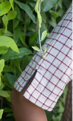 Kotpad Maroon Checks Shift Dress